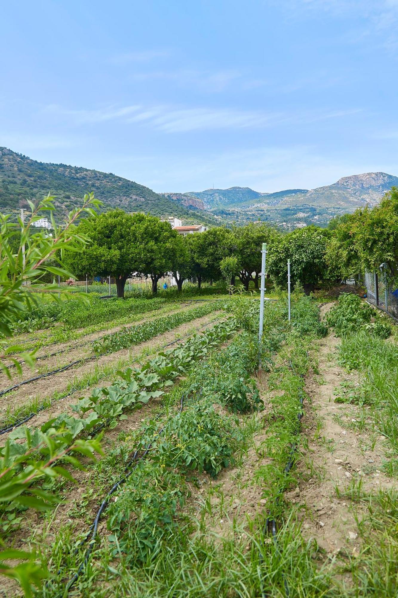 Mesudiye  Melinda Pension & Restaurant מראה חיצוני תמונה