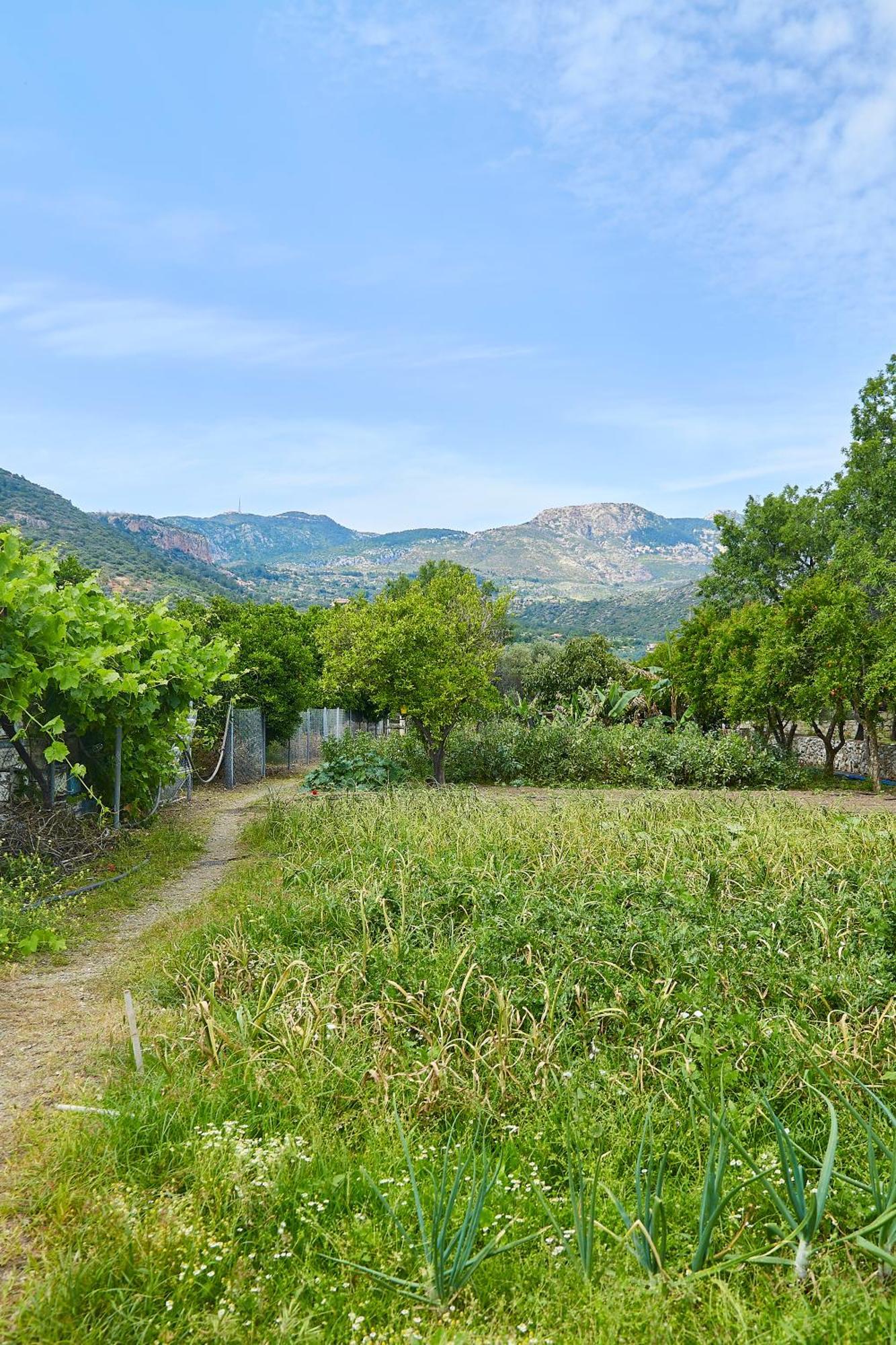 Mesudiye  Melinda Pension & Restaurant מראה חיצוני תמונה